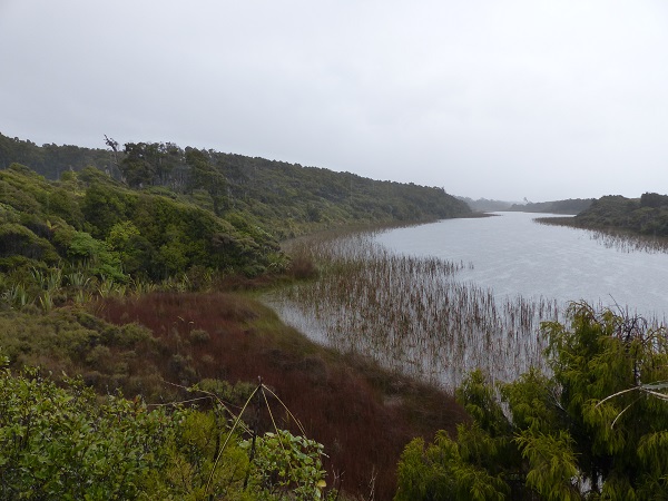 Dune Lake at Ship Creek; shrubs and trees at left are shaped by the prevailing onshore winds, Nov 2015